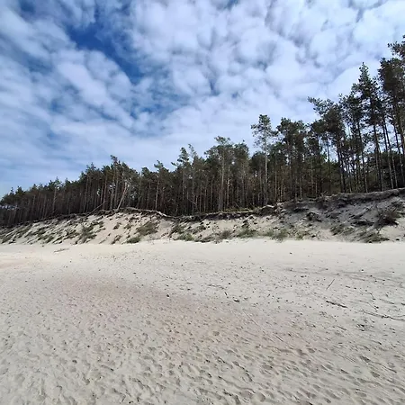 Baltic Pine *